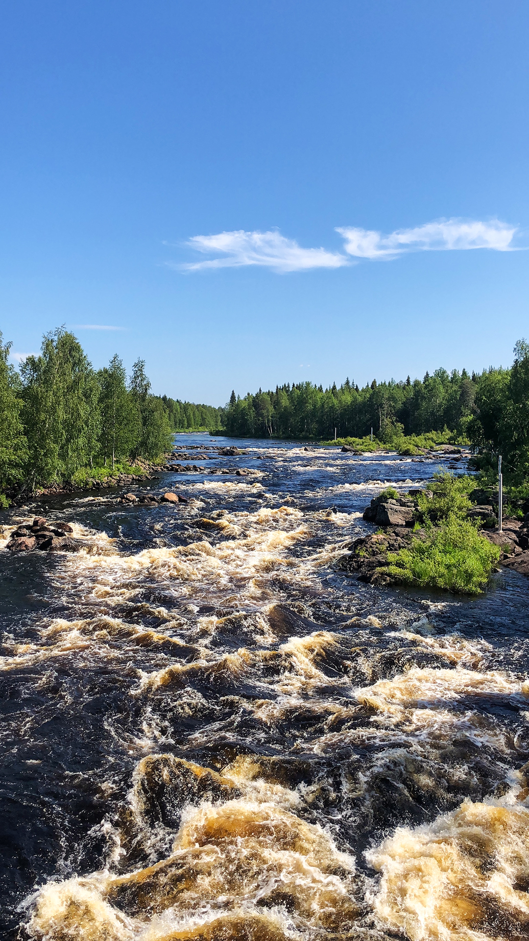 vaattunkikongas-rovaniemi-lappi-kesa-maisema